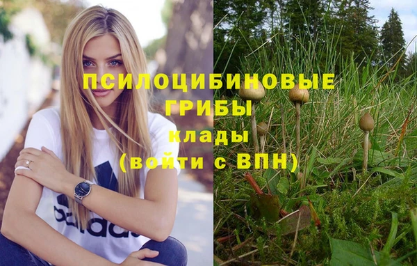 герыч Алексин