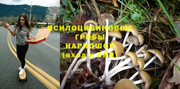 хмурый Ступино