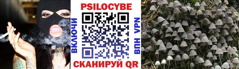 купить  сайты  Феодосия  Псилоцибиновые грибы Magic Shrooms 