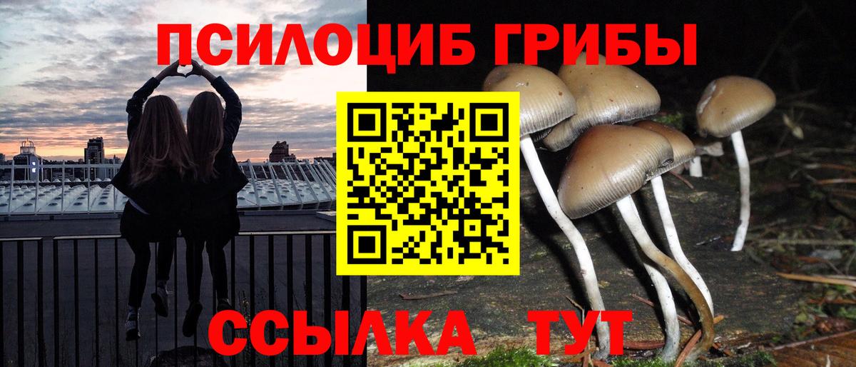 Галлюциногенные грибы Psilocybe Феодосия