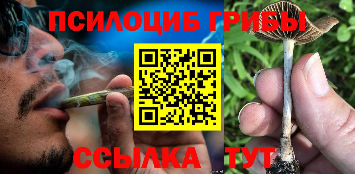 Феодосия  Псилоцибиновые грибы Cubensis  Вход с VPN 